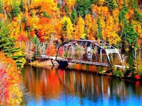Fall color by the river and bridge at the Upper Peninsula of Michigan