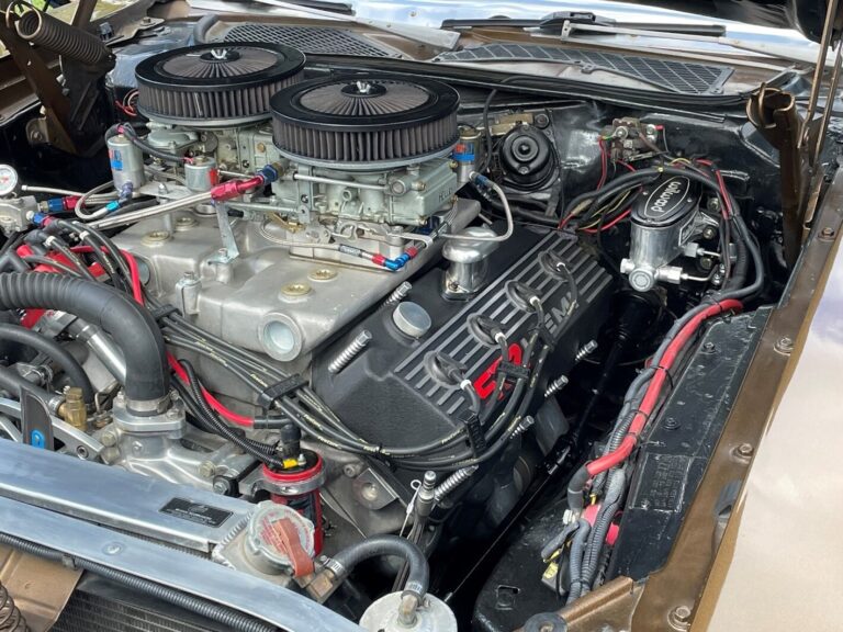 Dodge Hemi engine cleaned and detailed