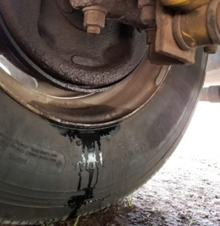 Wheel and tire that shows signs of leaking brake fluid