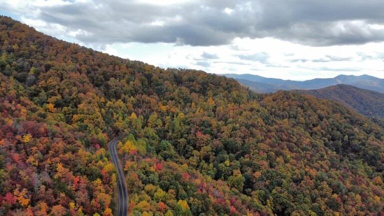 An aeriaal view of the curvy Cherohala Skyway National Scenic Byway running thru the mountains with the trees turn colors in the fall