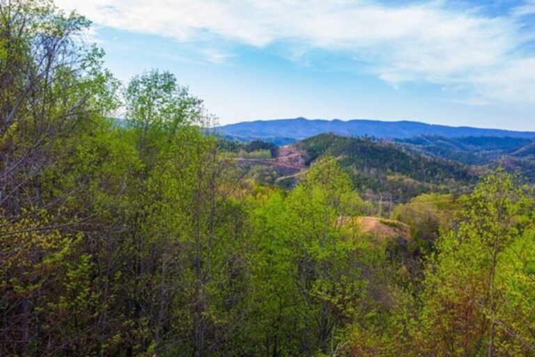 A view thru the trees of the winding road in western North Carolina