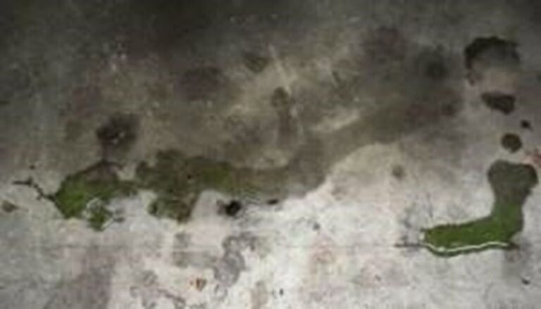 Green car coolant or anti-freeze on a concrete floor after a car radiator leak