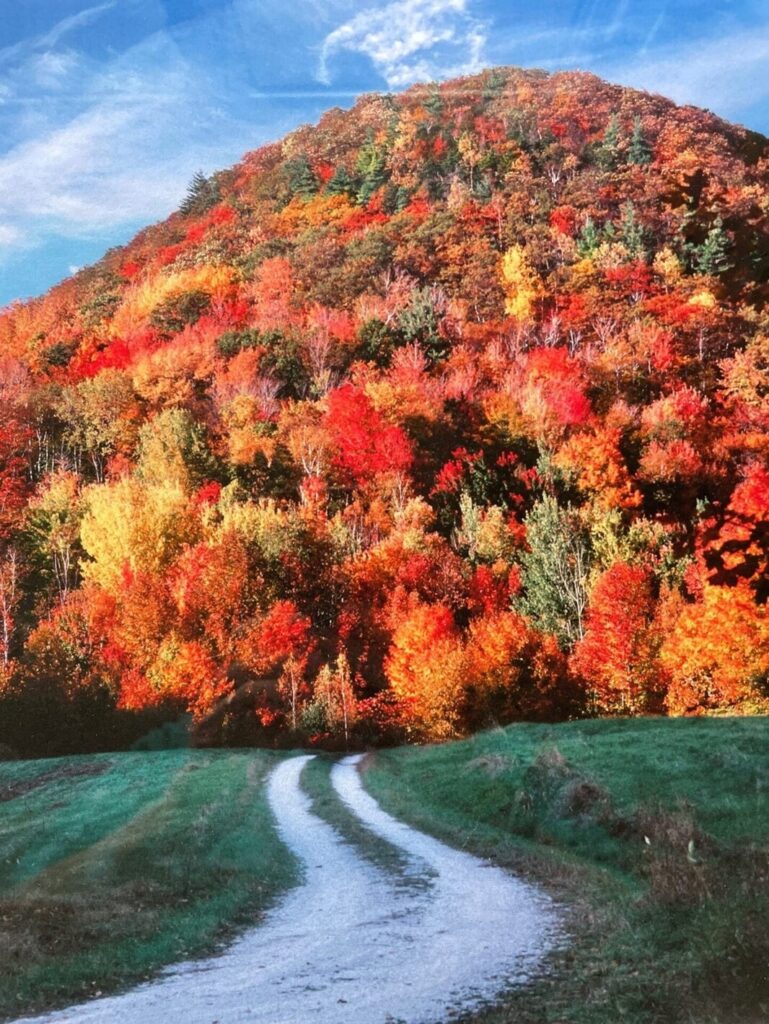 Leaves colors in full change in the Vermont mountains taking a fall foliage road trip