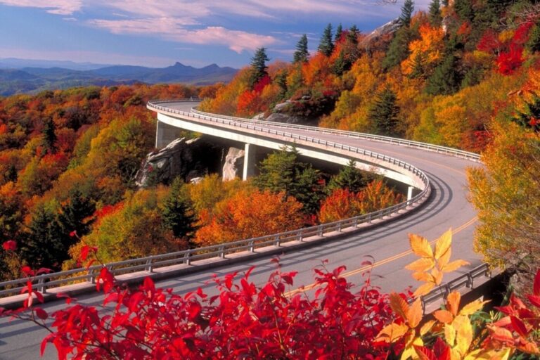 Leaves of all colors along a section of the Blue Ridge Parkway during a fall foliage road trip