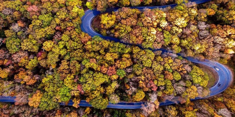 An overhead view of the winding road along the Ozarks Scenic Road for a fall foliage road trips