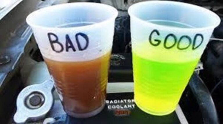 @ cups filled with engine coolant; one marked bad and the other good in preparing for driving in extreme heat
